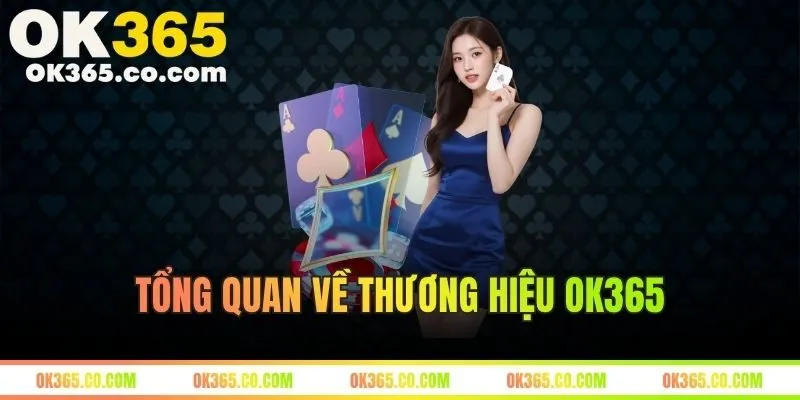 Tổng Quan Về Thương Hiệu OK365