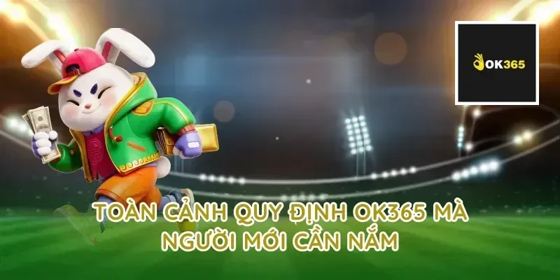 Toàn cảnh quy định ok365 mà người mới cần nắm